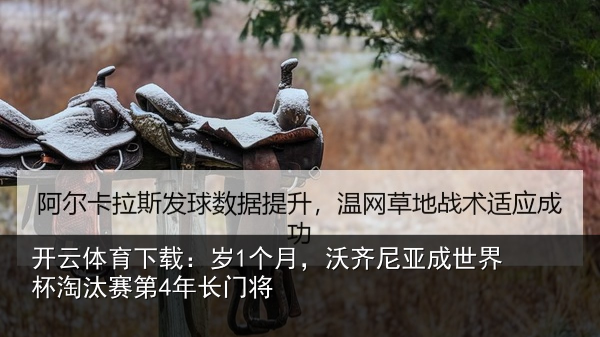 开云体育下载:岁个相关情况杯淘汰赛第4年长门将