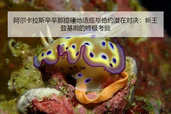a-er-ka-la-si-xin-xin-na-ti-ying-di-shi-ying-yu-de-yue-qian-zai-dui-jue-xin-wang-deng-ji-qian-de-zhong-ji-kao-yan-3-777.jpg